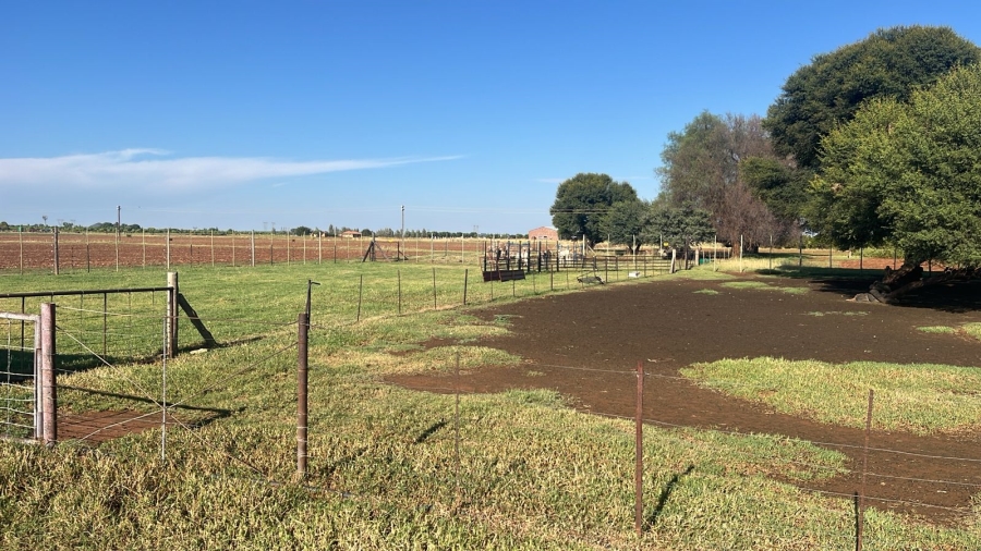 Commercial Property for Sale in Arcadia SH Free State